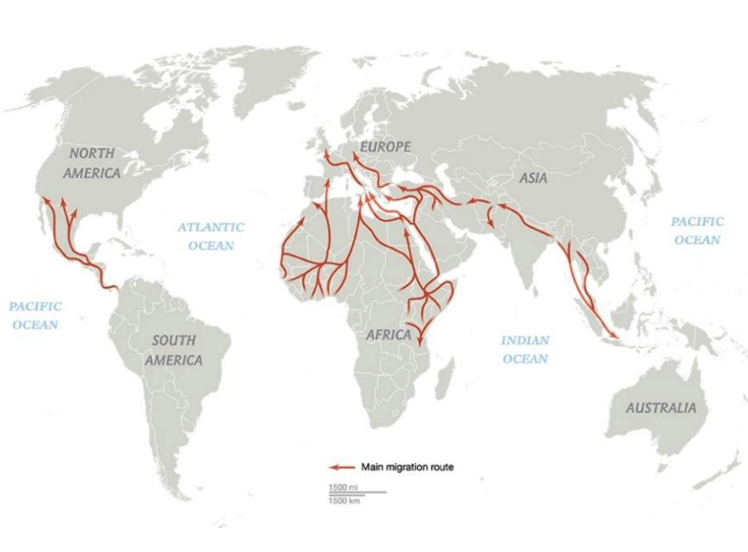 international migration chart